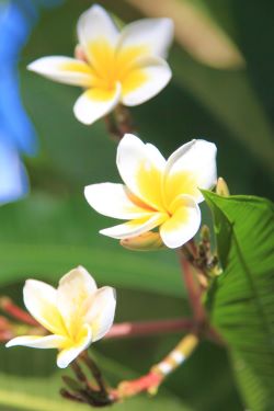 La Reunion Süden