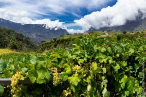 Dorf und Cirque de Cilaos La Réunion